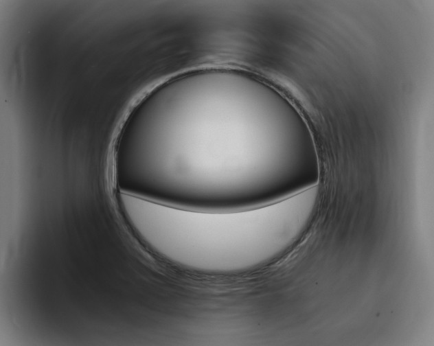 X0000094431371200711081010