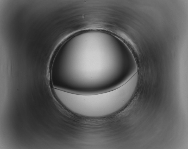 X0000094431372200711081010