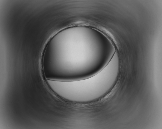 X0000094431373200711081010