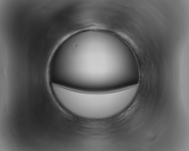 X0000094431375200711081010