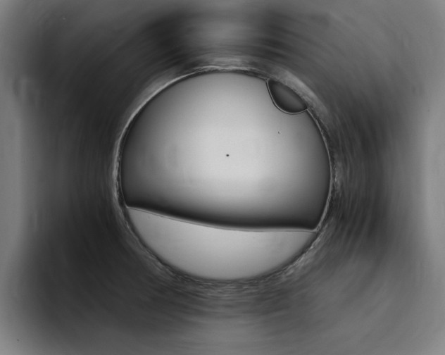 X0000094431378200711081010