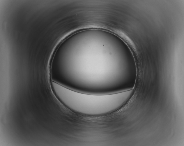 X0000094431380200711081010