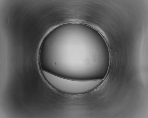 X0000094431381200711081010