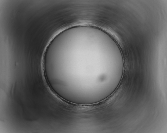 X0000094431382200711081010