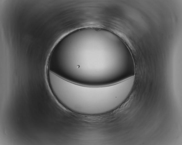 X0000094431383200711081010