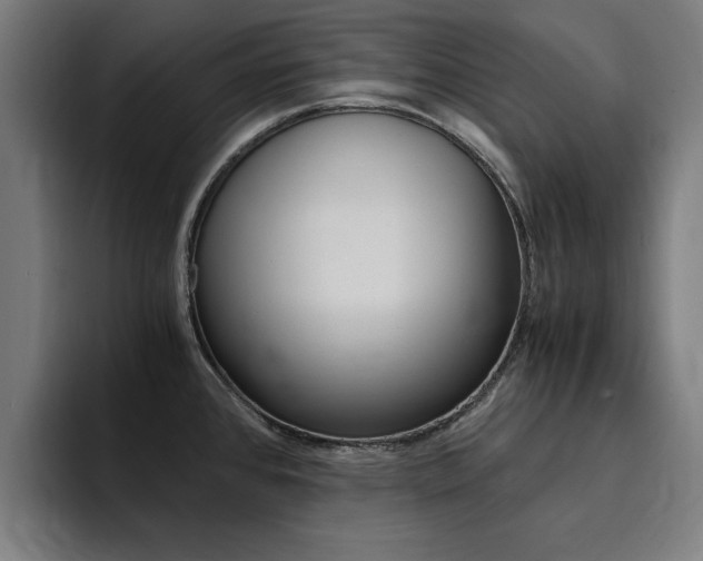 X0000094431384200711081010