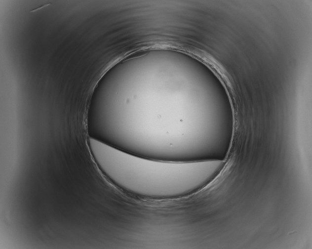 X0000094431385200711081010