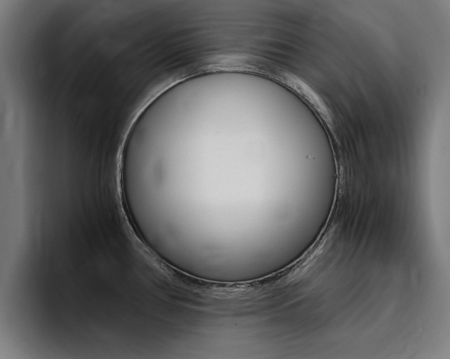 X0000094431386200711081010