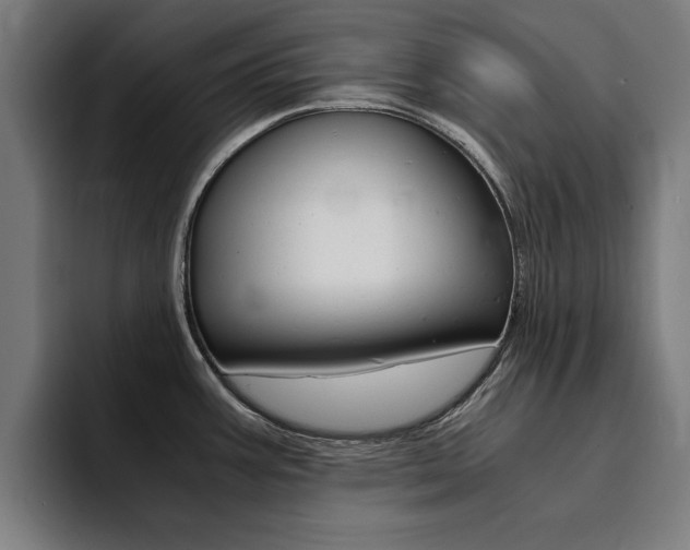 X0000094431387200711081010
