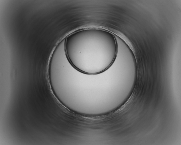X0000094431388200711081010
