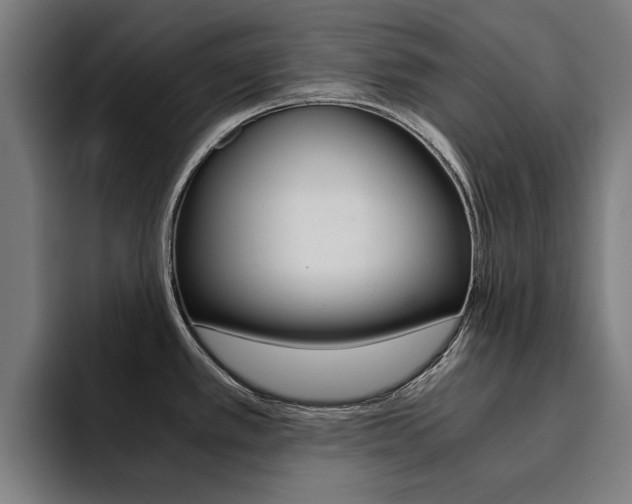 X0000094431389200711081010