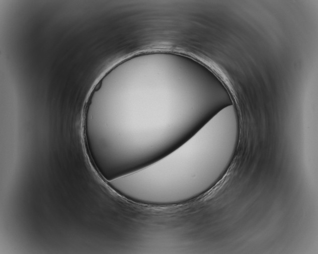 X0000094431390200711081010