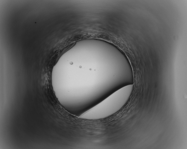 X0000094431397200711081009