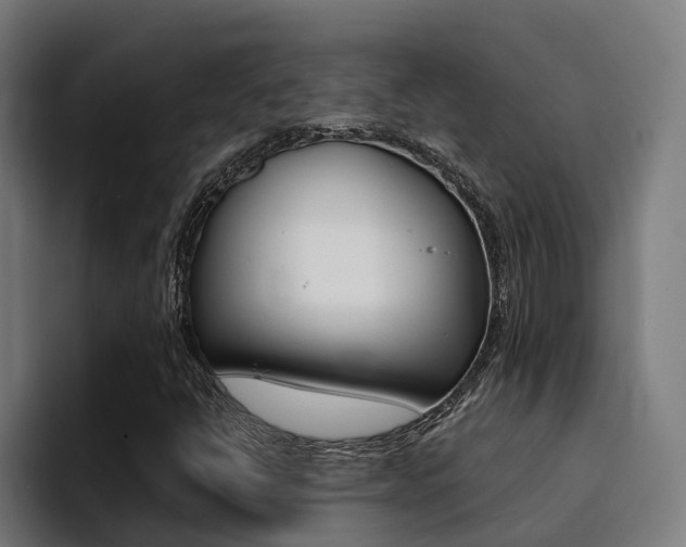 X0000094431398200711081009