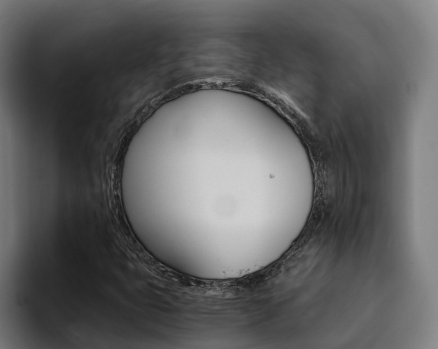 X0000094431399200711081009