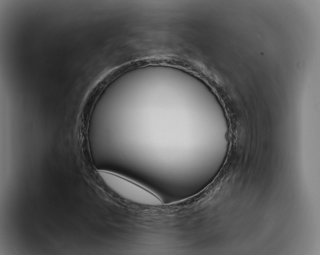 X0000094431400200711081009