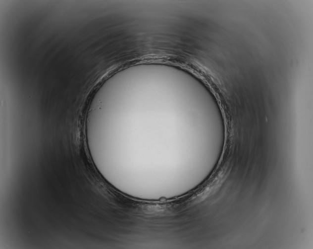 X0000094431401200711081009