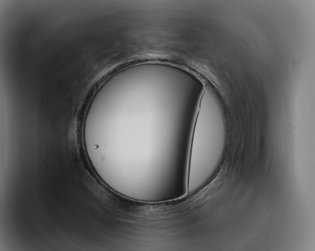 X0000094431404200711081009
