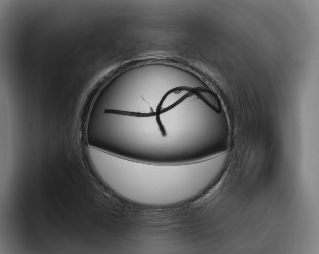 X0000094431406200711081009