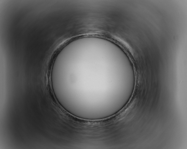 X0000094431407200711081009