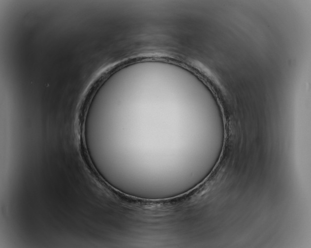 X0000094431408200711081009