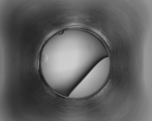 X0000094431413200711081010