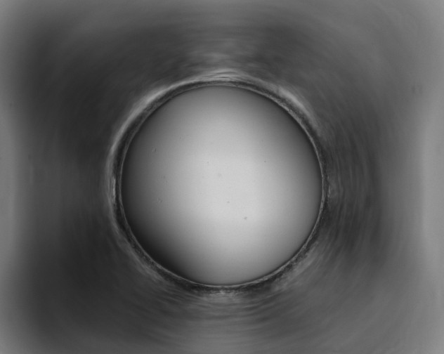 X0000094431414200711081010