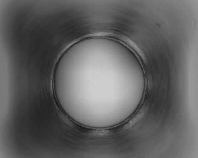 X0000094431417200711081010