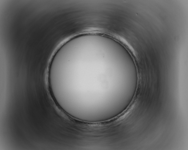 X0000094431421200711081010