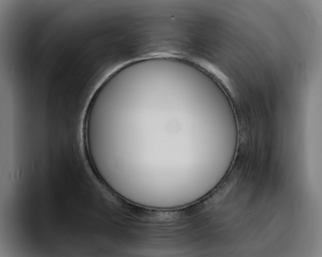 X0000094431423200711081010