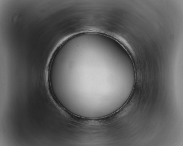 X0000094431424200711081010