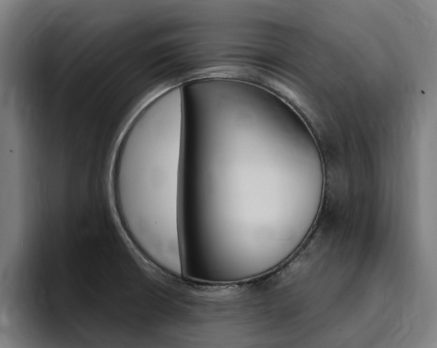 X0000094431426200711081010