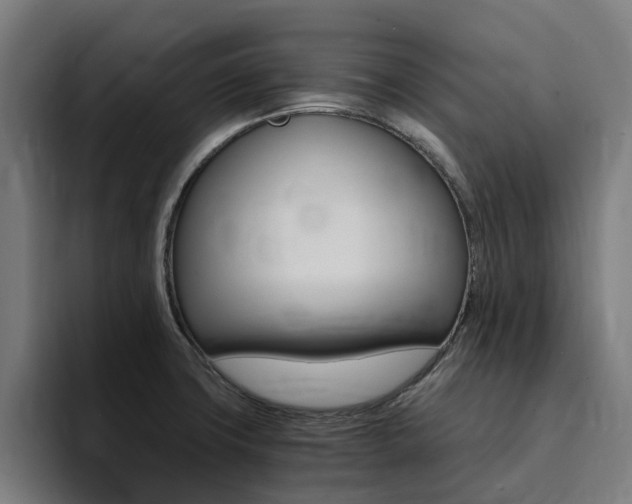 X0000094431427200711081010