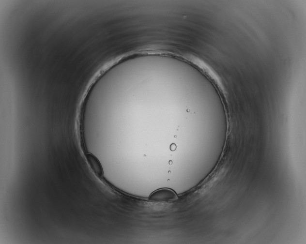 X0000094431429200711081010