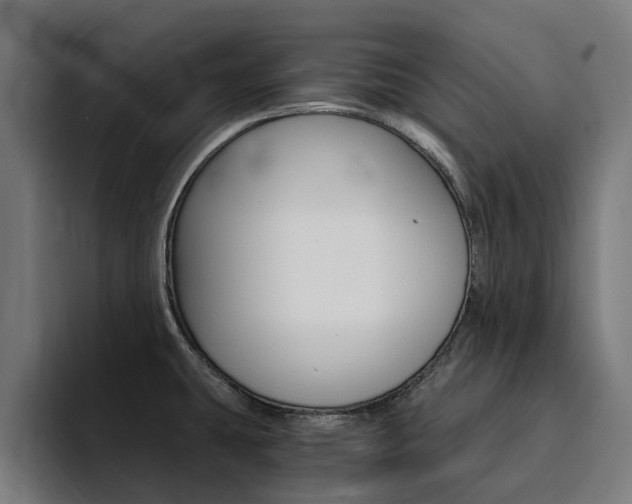 X0000094431431200711081010