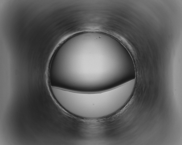 X0000094431432200711081010
