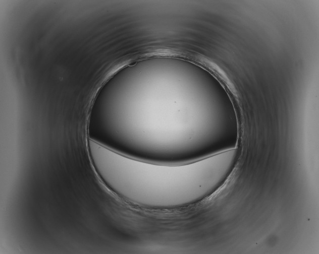 X0000094431433200711081010