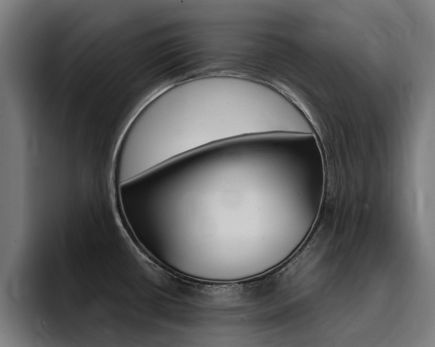 X0000094431434200711081010