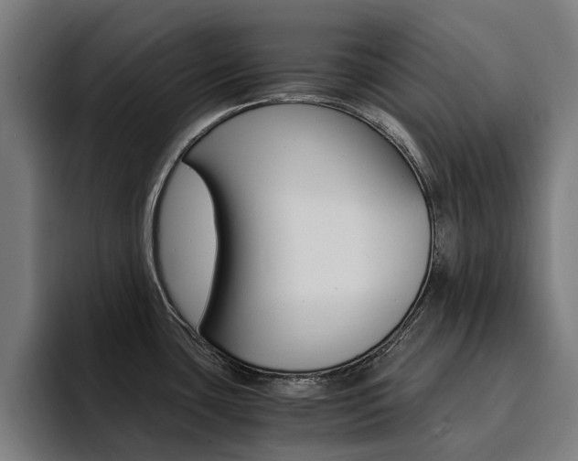 X0000094431435200711081010