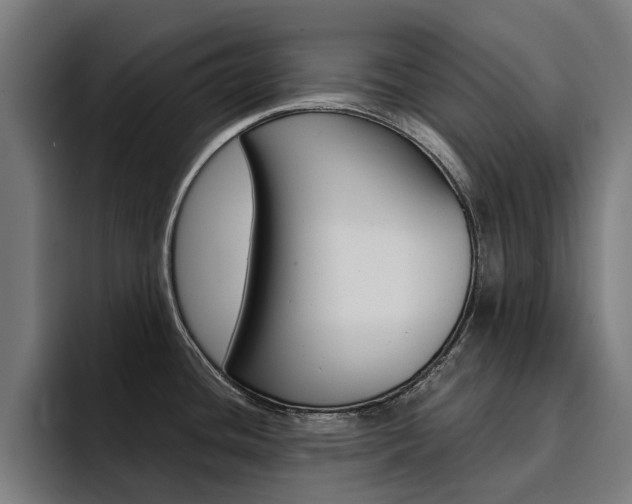 X0000094431436200711081010