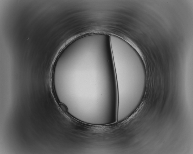 X0000094431437200711081010