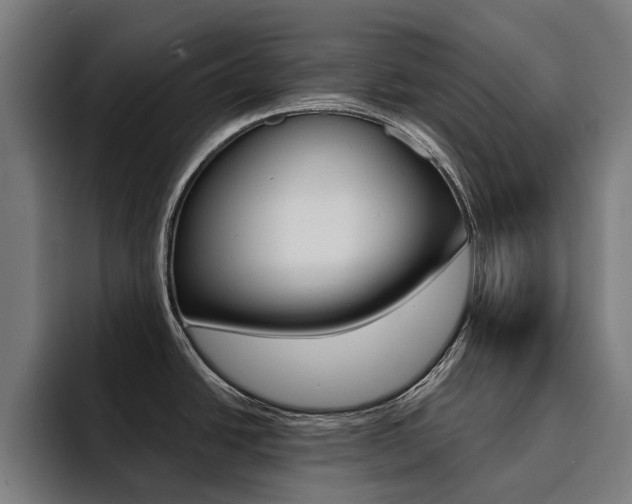 X0000094431438200711081010