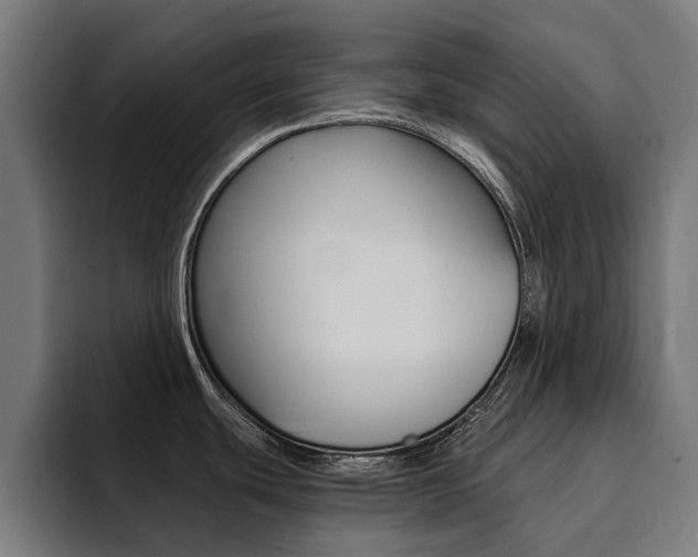 X0000094431439200711081010