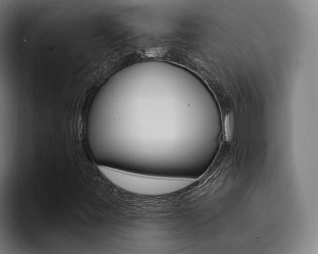 X0000094431443200711081009