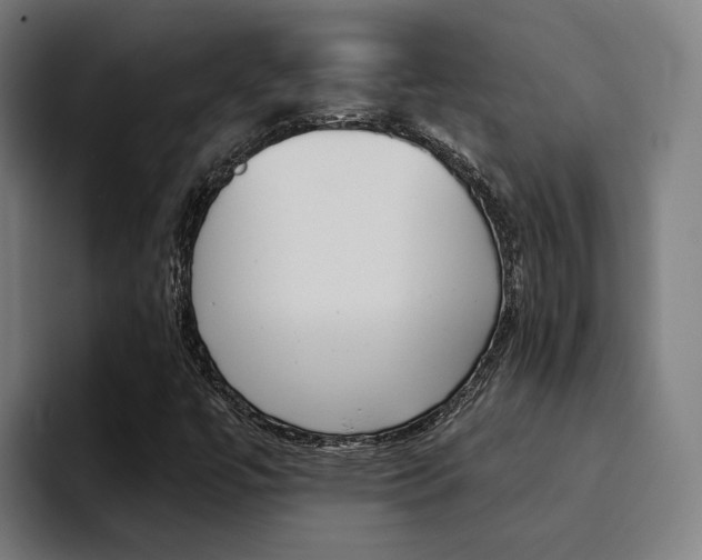 X0000094431447200711081009