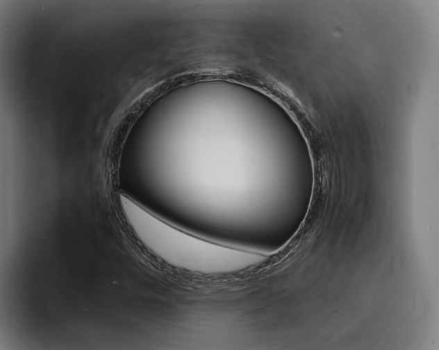 X0000094431448200711081009