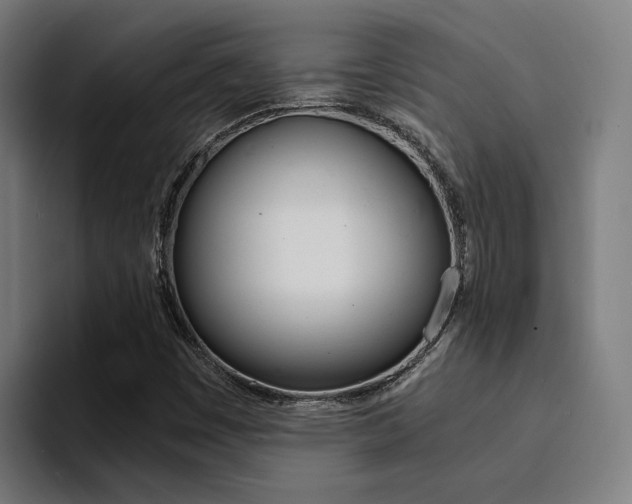 X0000094431449200711081009