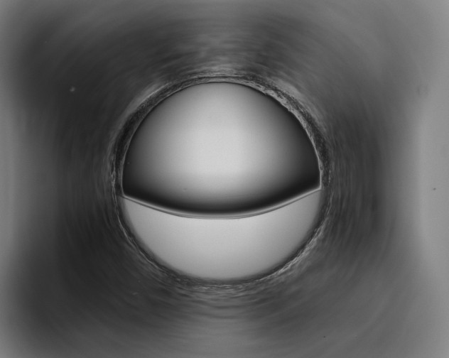 X0000094431450200711081009