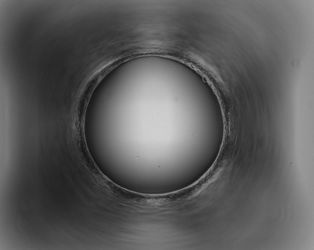 X0000094431453200711081009