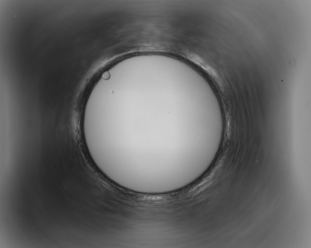 X0000094431454200711081009